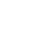 Icono 5