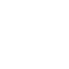 Icono 8