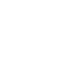 Icono 7